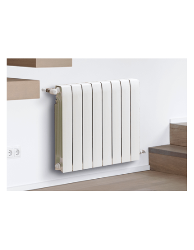 Radiador DUBAL 45 BAXI. Ambiente 2