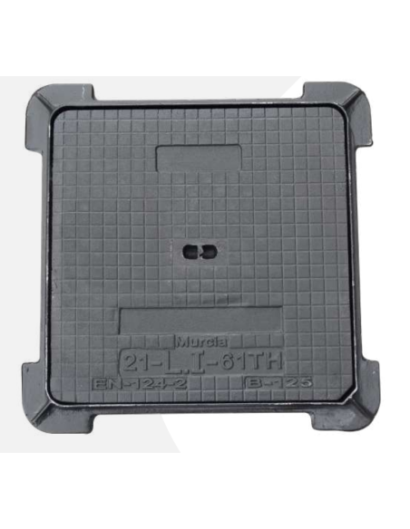 Tapa con cerco hierro fundido. Principal