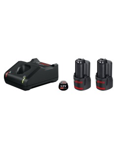 Kit 2 baterías 12V 2AH + cargador GAL 12V-40 Bosch 2