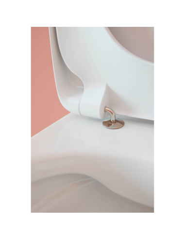 Tapa de inodoro VICTORIA Compacto Blanca de ROCA. Detalle bisagras.