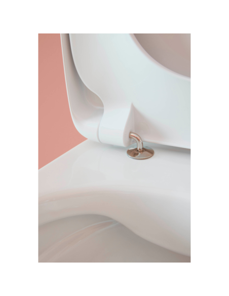 Tapa de inodoro VICTORIA Compacto Blanca de ROCA. Detalle bisagras.