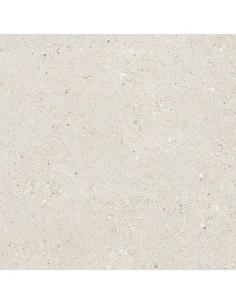 Porcelánico Rectificado DOGE SAN MARCO 60x60 cm. Principal 2