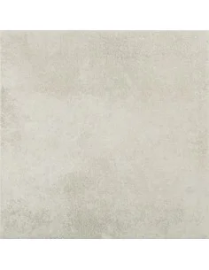 Porcelánico Rectificado RIGA VISON 60x60 cm. Principal 2