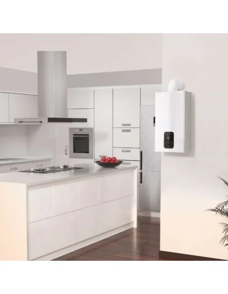 Calentador estanco Evo Ariston ambiente