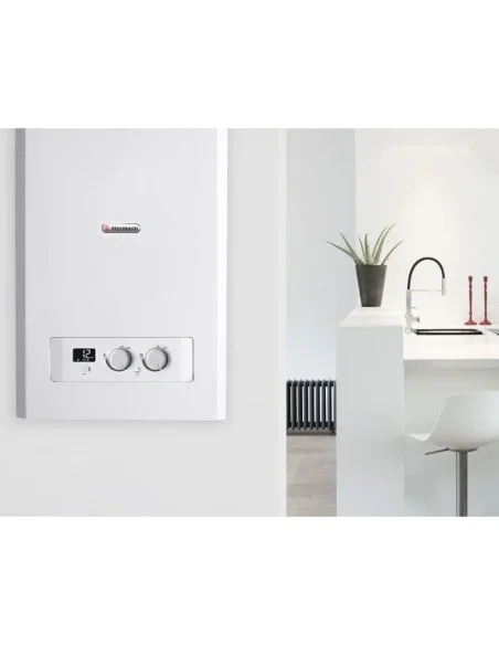 Caldera HERMANN MICRAPLUS Condens SAUNIER DUVAL. Ambiente.