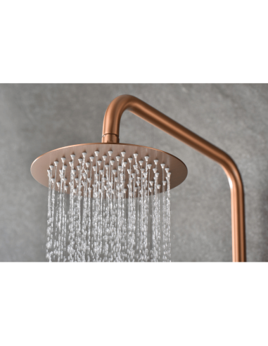 Conjunto de ducha Monza Imex ROCIADOR