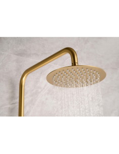 Conjunto de ducha oro cepillado Line IMEX 2