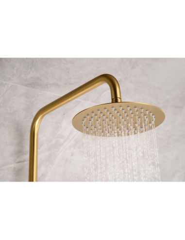 Conjunto de ducha oro cepillado Line IMEX Detalle duchón