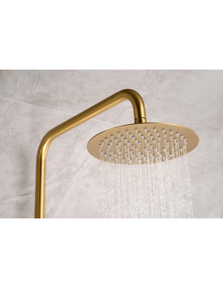 Conjunto de ducha oro cepillado Line IMEX Detalle duchón Conjunto de ducha oro cepillado Line IMEX Detalle duchón