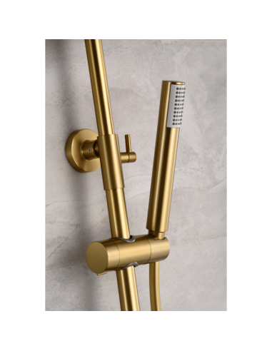 Conjunto de ducha oro cepillado Line IMEX Detalle ducha teléfono