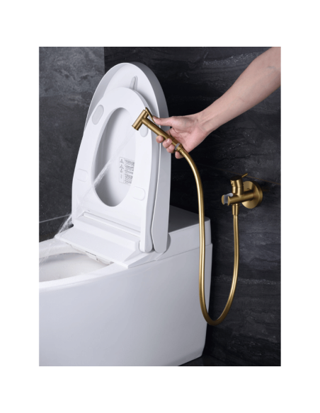 Ducha bidet empotrada oro cepillado Munich IMEX (Ambiente 2) Ducha bidet empotrada oro cepillado Munich IMEX (Ambiente 2)