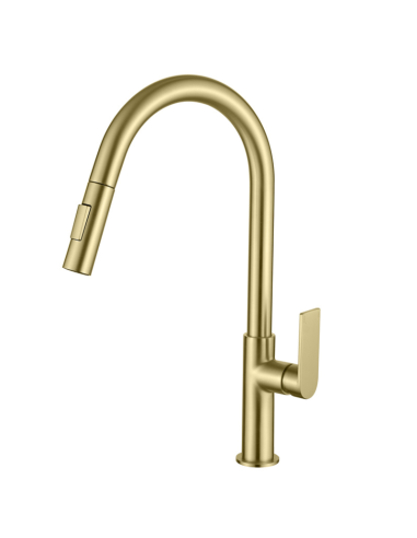 Grifo cocina extraíble oro cepillado Alpha AQG