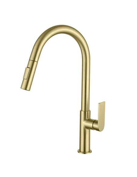 Grifo cocina extraíble oro cepillado Alpha AQG