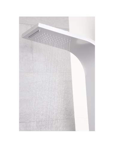 Ducha hidromasaje termostática Rio AQG | Pereda