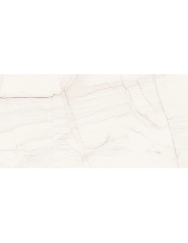 Azulejo porcelánico rectificado 60x120 cm Brasilea (Muestra)