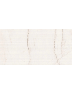 Azulejo porcelánico rectificado 60x120 cm Brasilea Decor 2