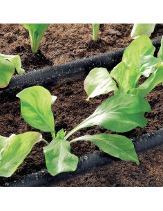 Tubo de riego pororoso 15M D903500. Principal 2