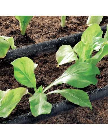 Tubo de riego pororoso 15M D903500. Ambiente